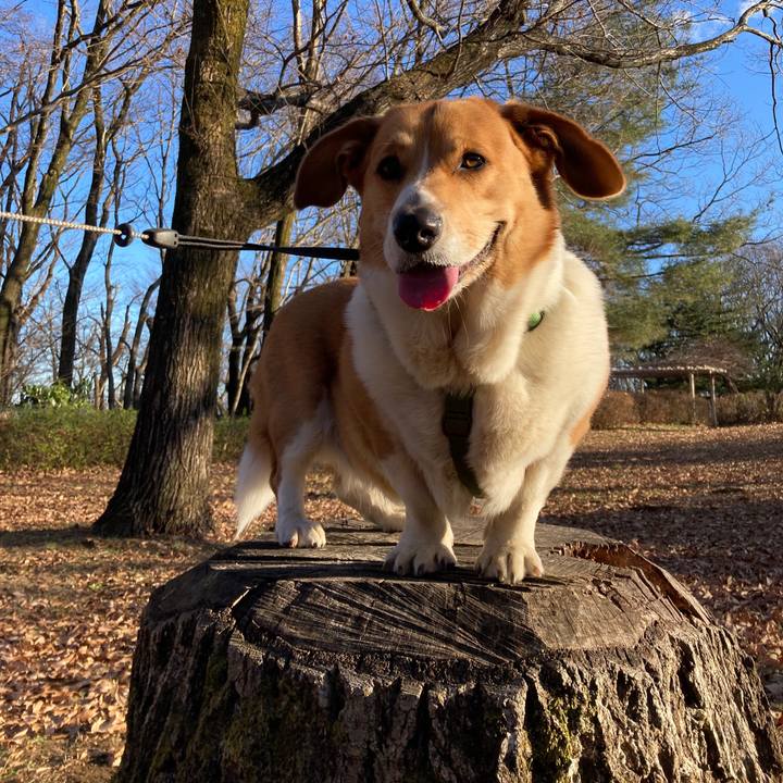 107f6a33 9e04 457a b4d2 ec71b011a405 1737948259367