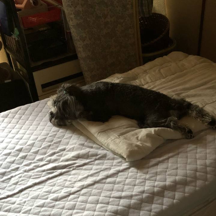 107f87f2 3ea1 4bd7 b7c3 af85ec403d90 1530414014914