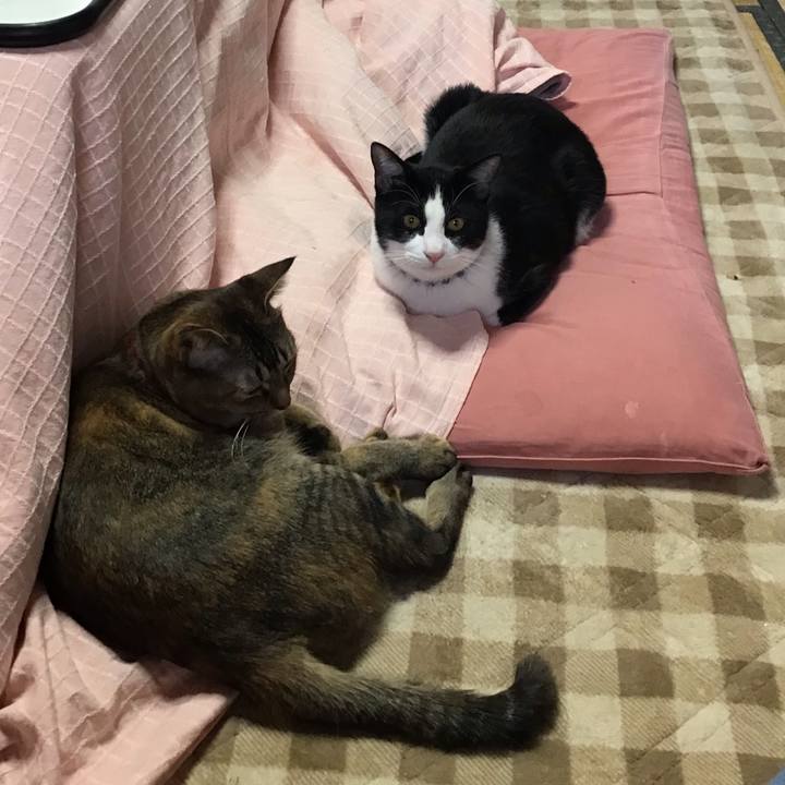 107fa612 07ce 422e b6d1 20ec6d378d25 1641783596900