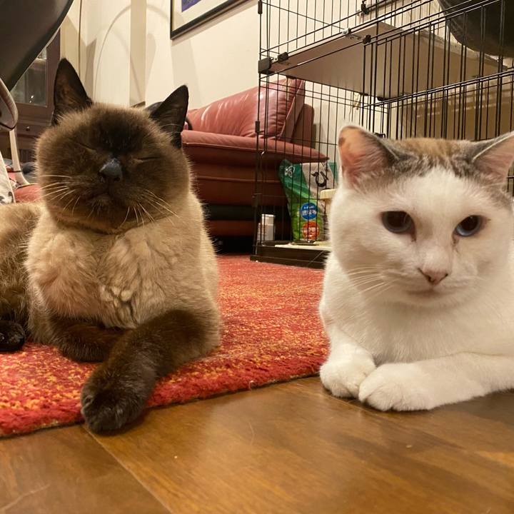 107fd6b6 25d6 45fc 9f2f 576e4316a711 1638493231049