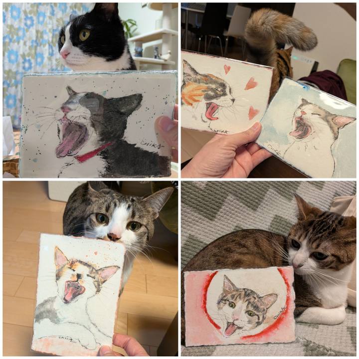 10800047 b5d3 4f65 a1a7 ba77a1281dbd 1773905396334