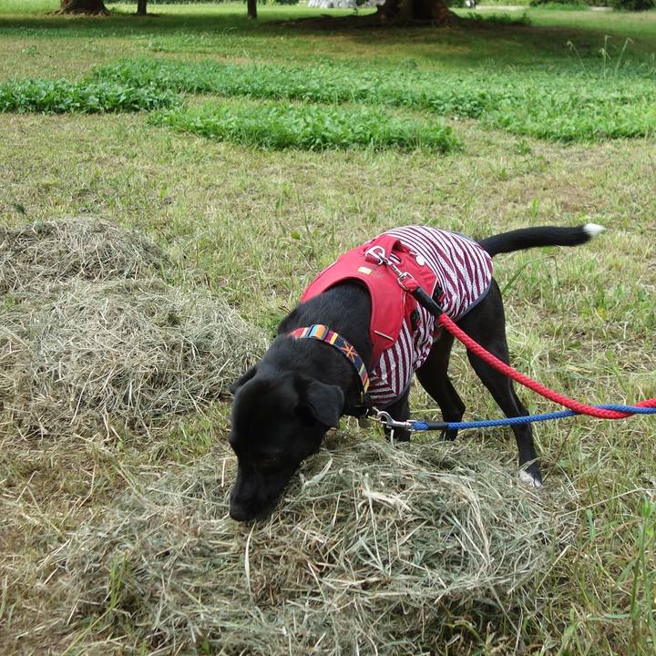 10801a5c f560 444b 827a d32c6f9072bb 1596846710595