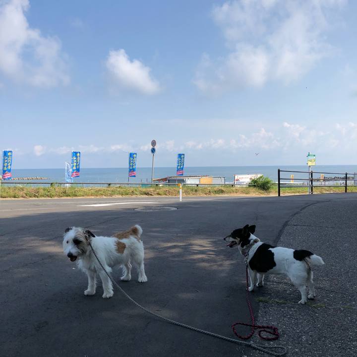 10801b82 4603 4a23 96af 9994fce2ef58 1532391944151