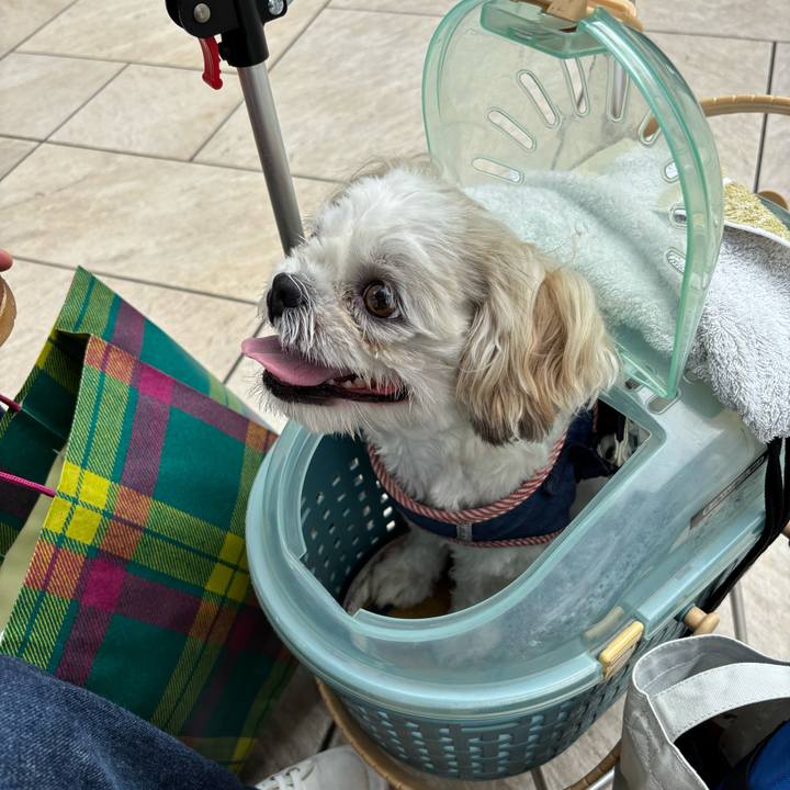 10803c64 31c3 4d35 b437 8accb5c90075 1752442940119