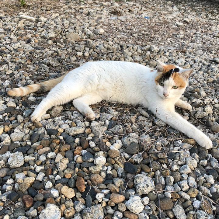 10807b63 0a23 4ca1 8ce0 0339c9e00979 1536496506736