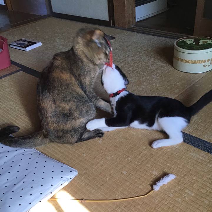 1080f0a8 f656 473e 9a80 18923a072c7b 1628211236078