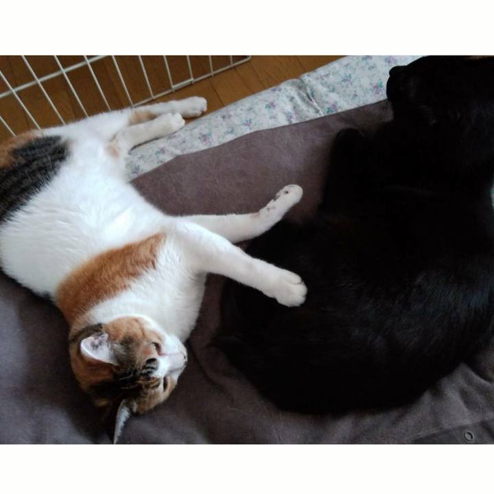 1080f90f 3e80 4c0b 9c8d cd7f2c26ba23 1549630508552