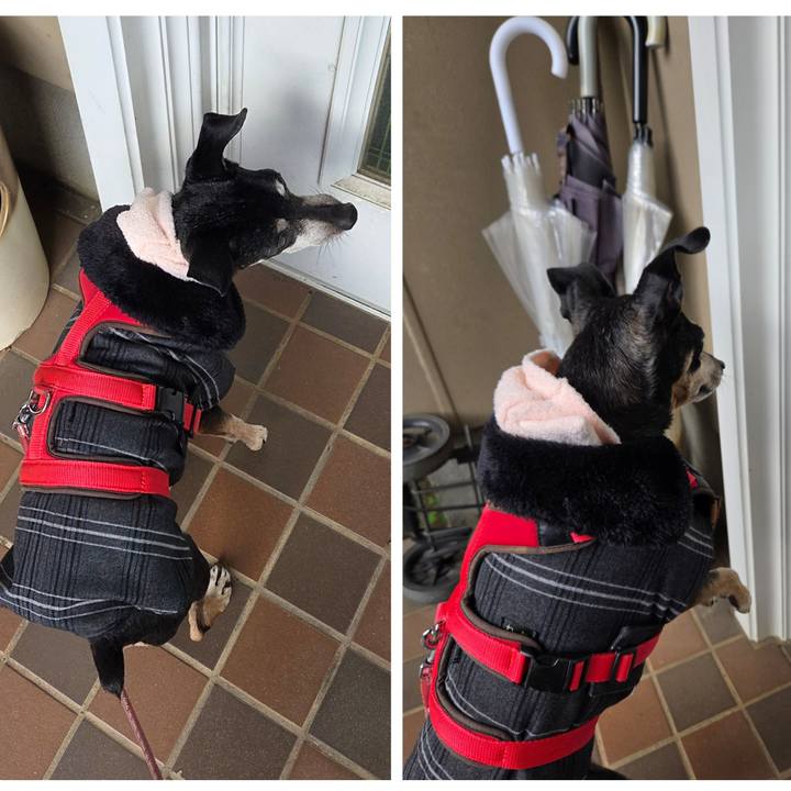 10815331 cbd3 42b7 8bc9 30f641768aaa 1765239613560