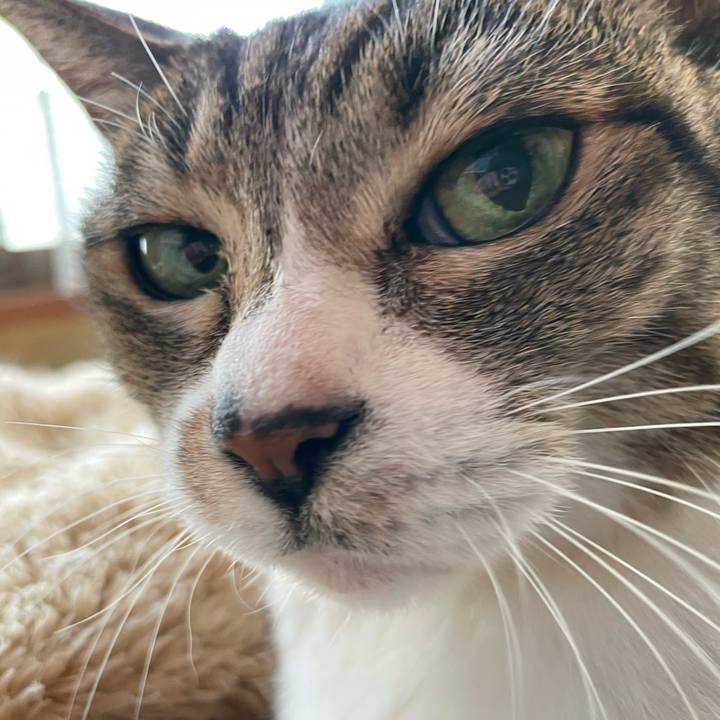 10816b73 702a 4051 bc7d be85e7bdfa73 1644977661526