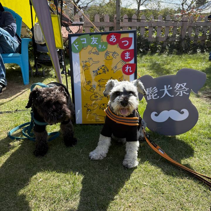 108171db df60 42d9 a9b6 1d303fc4b2cc 1729395805713