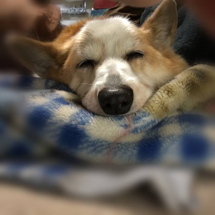 108173ae 4332 45d0 9cfb ccd61f656695 1546957343822