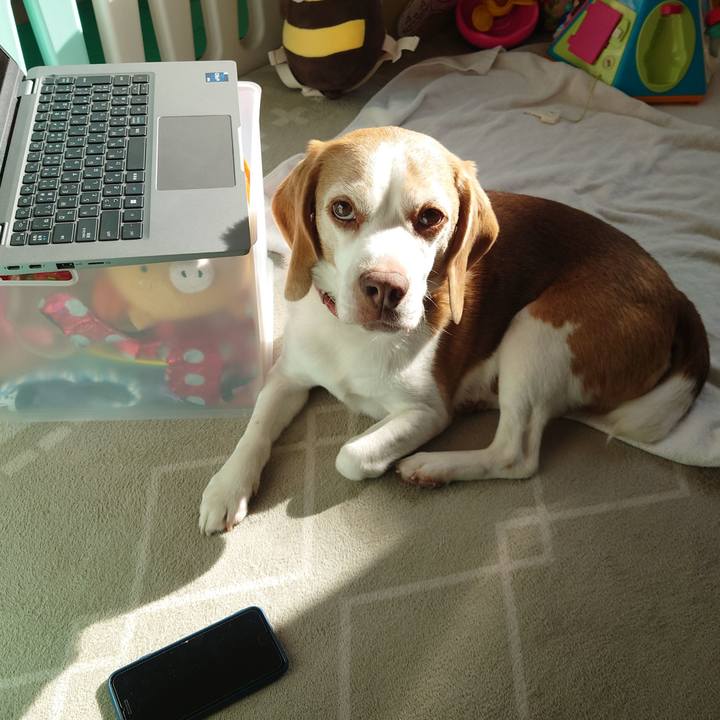 10817e28 1f82 4c95 b503 a8d1f08fbede 1765166447406