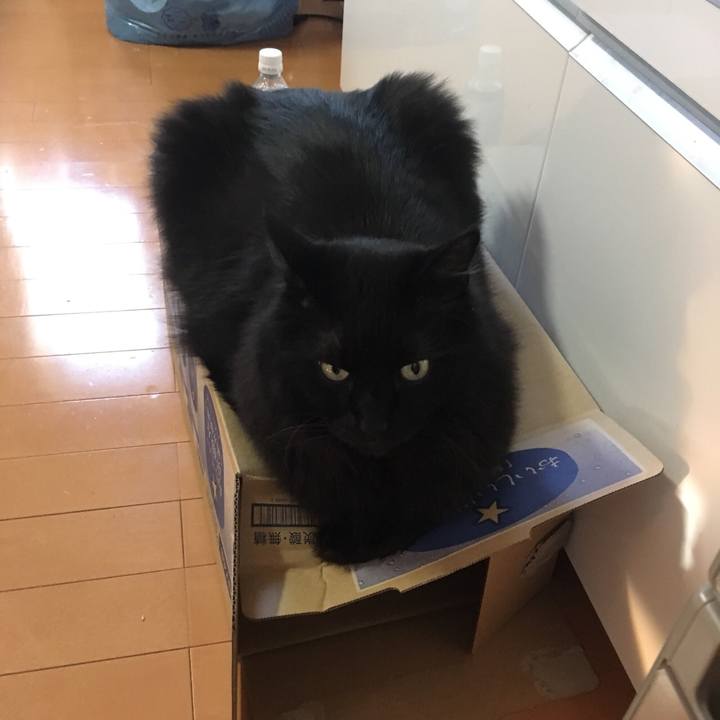 1081ba3e f750 4859 9b07 34da7cca2cf9 1558007624951