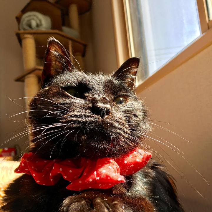 1082270c a888 4c8d a561 bf142f502a67 1589534707143