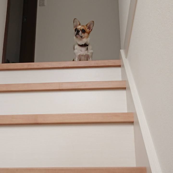 10824067 ea6d 40a0 9c54 f7a83b19774a 1555576866194