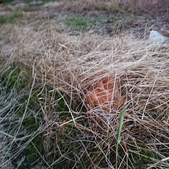 10824634 9ec0 4b4a b822 01fe2bc3c252 1568366706870