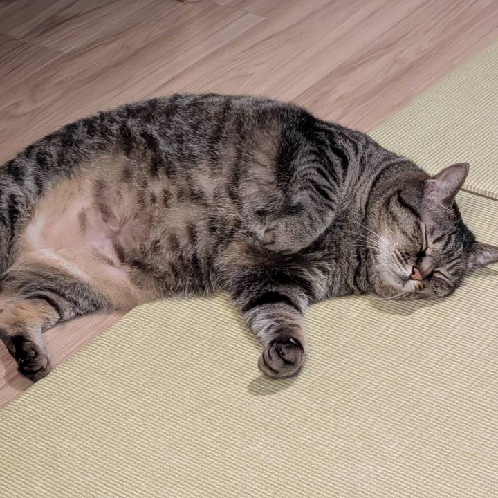 1082530f 1bef 4f8f 826d d475e62d8e99 1747747208564