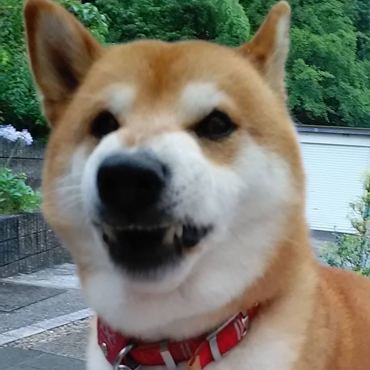 10828446 f5f8 40cf af12 b6a0e7e366d6 1593774427116