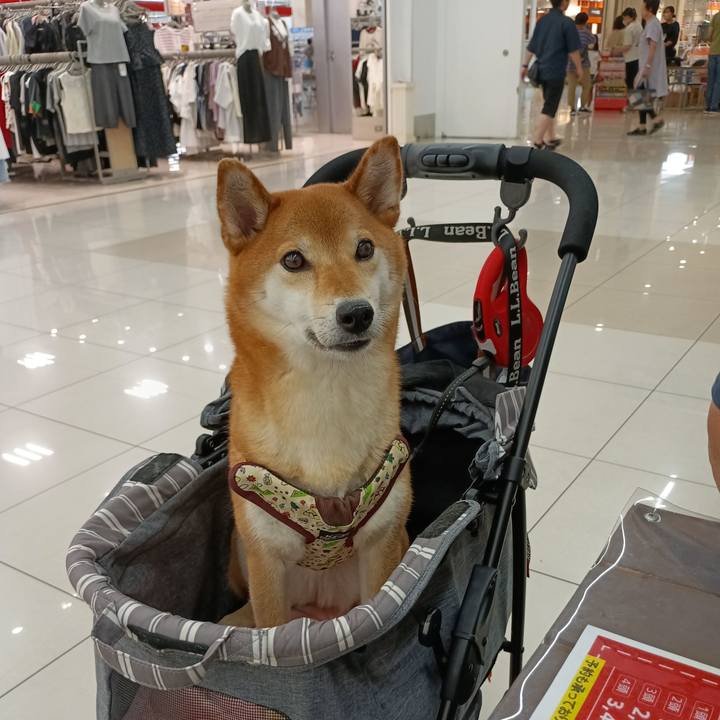 10829642 544e 4b68 bb5e f105a9906cdd 1751719946840