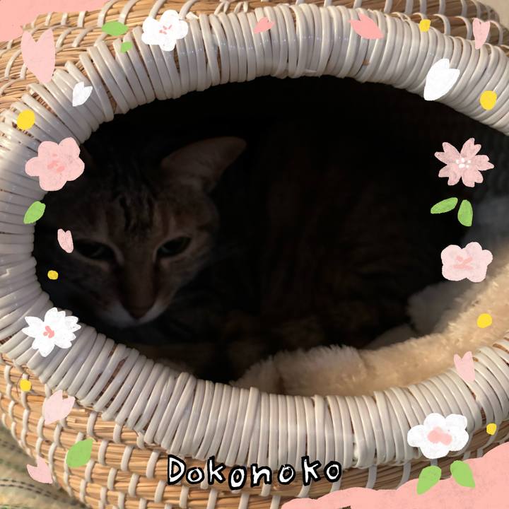 1082c63e 1945 48f7 ada5 68ddc44c5401 1711238754770