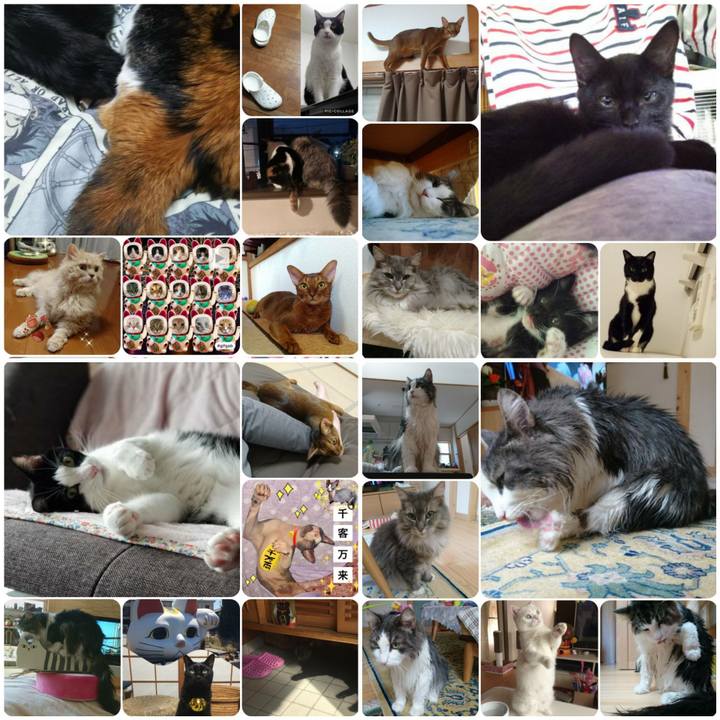 1083108e f60d 4c95 a73d 0e1580f544fd 1569927491168