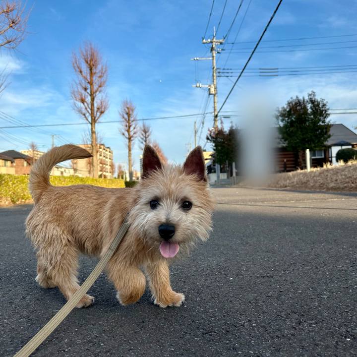 10835d2c 77d3 4844 bdb9 9904f8d3e611 1708031171568