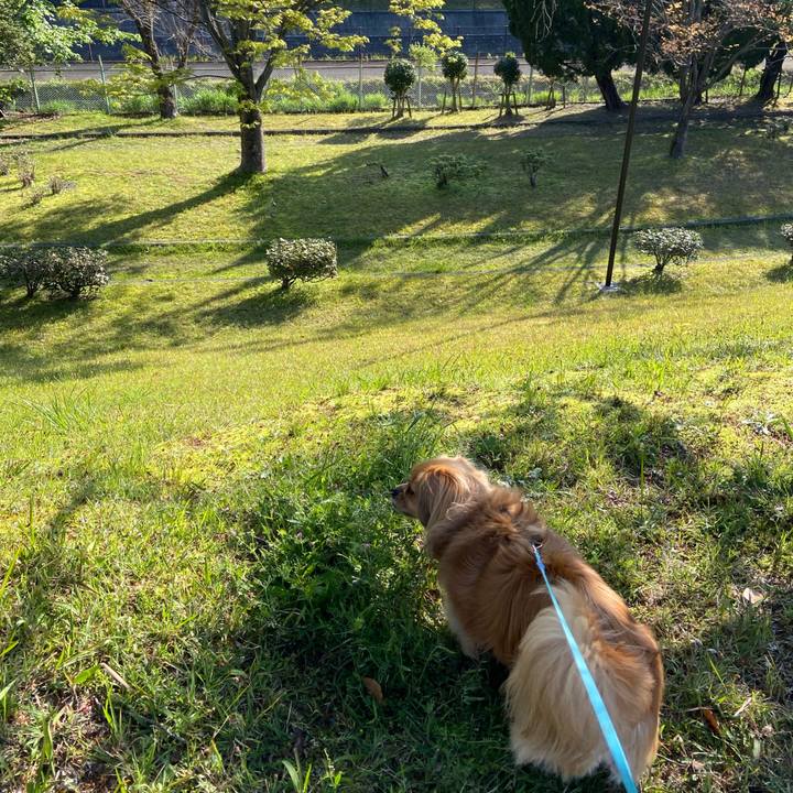 108383cb 2271 419c 858d e757917edc1c 1587773189829