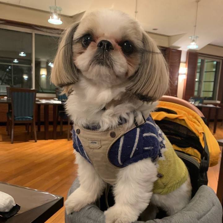 108385a3 c28c 4843 924f 52c21f2b06b5 1668929494736