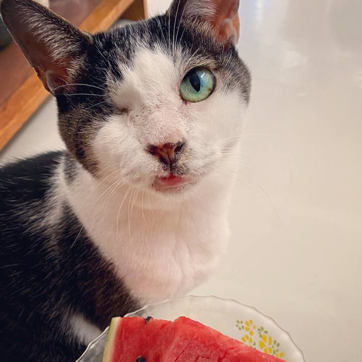 1083afd3 3deb 4c36 9769 9e306984343e 1629356559474