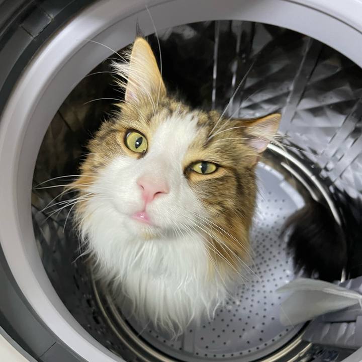 1083b6a2 a84d 41ad a979 f3f927b83425 1687983766967