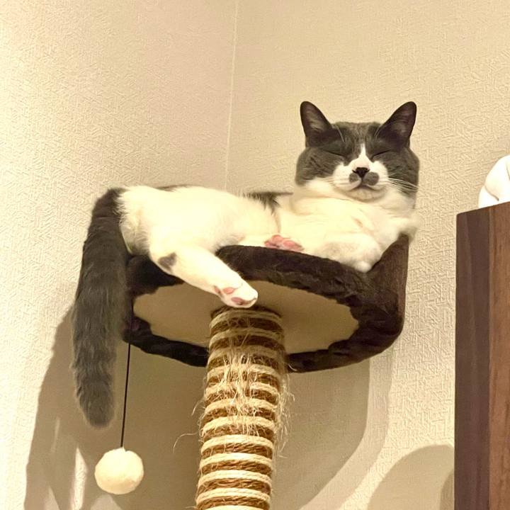 1083c59e 393a 4828 b54c f7ebcb5622ac 1713364425270