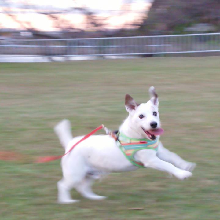 1083eecf ff03 465e 915a ba31635502b6 1574292056860