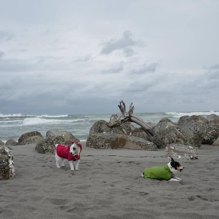 10843b01 c6f7 4341 8727 c2a5562b94f2 1509769478400