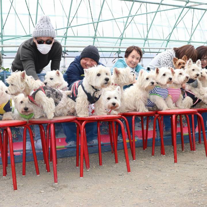 10844d4c f28d 4022 a3f4 edfc17952a8d 1520426653382