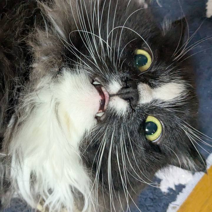 10845717 b3f5 4eb8 a9c8 a8e19b33c2b2 1770847879272