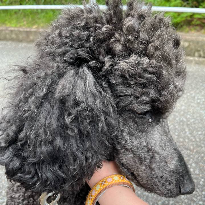 108482b3 72c5 4b94 8379 45d0dd93b744 1654402927585