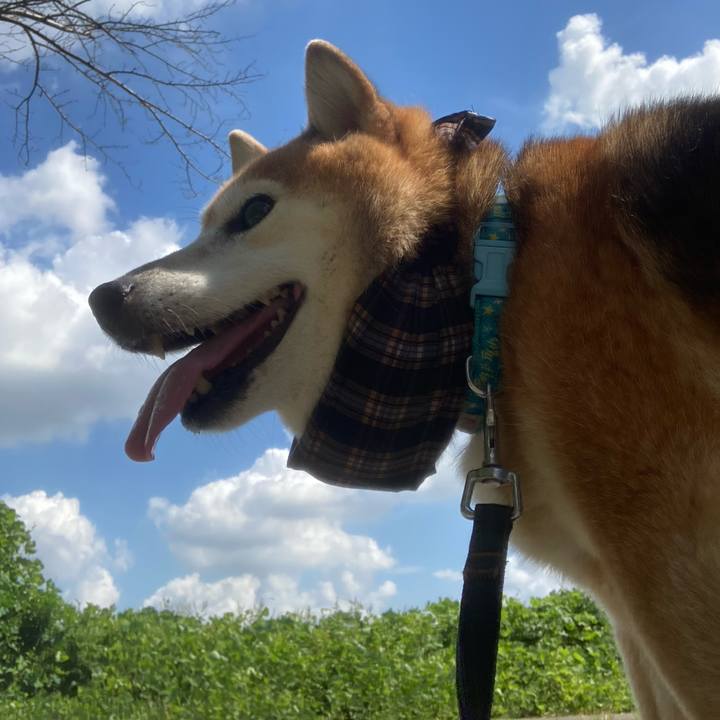 1084e8f1 a6dc 4076 9026 ad5e232bd0f7 1726027430469