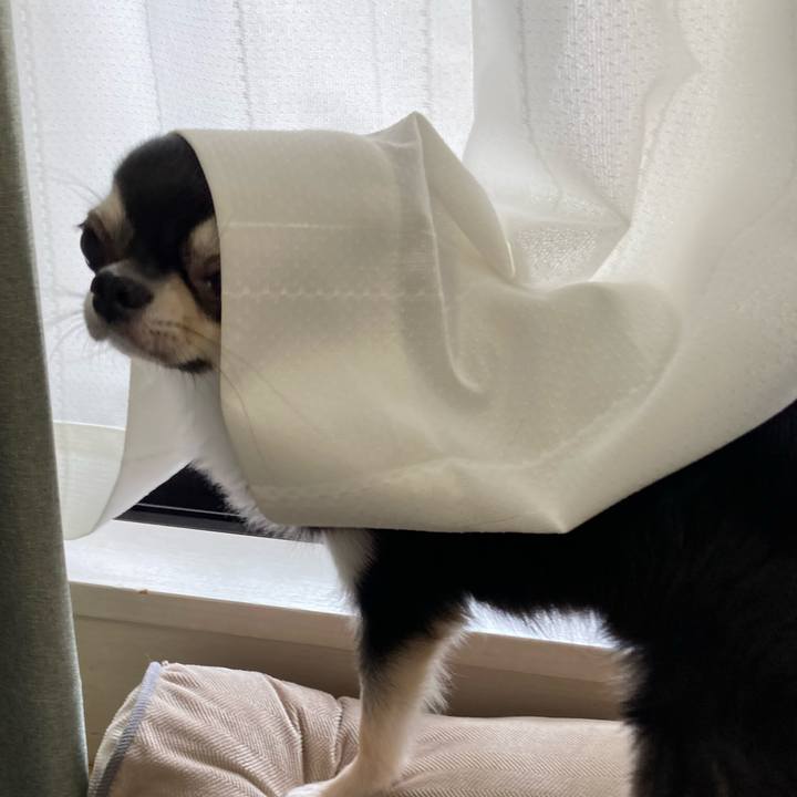 1084ebcf 6cfc 45a1 93db 54bd2dbc9782 1628479896092