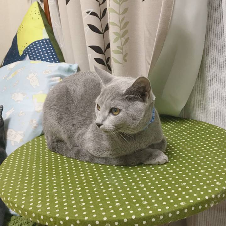 1084f33f 6e09 4c74 a08c b6490ddaea74 1508670340908