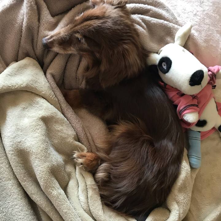 10851866 58d4 4cea a9a3 0021c04bc311 1587604362950