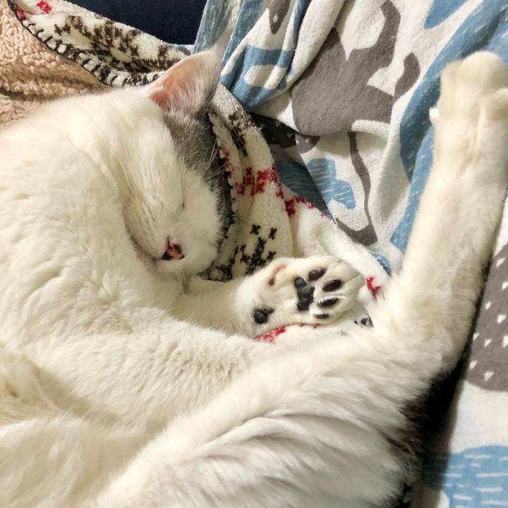 10852f11 39f3 42ef bd72 540e19355166 1609321339350