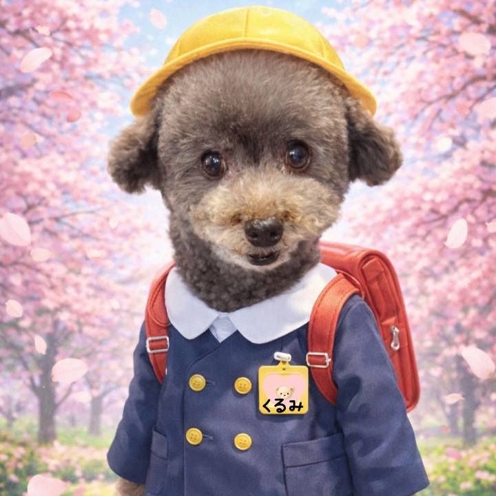 108537fc 6415 4101 8f80 a9788162d2e8 1775177233130