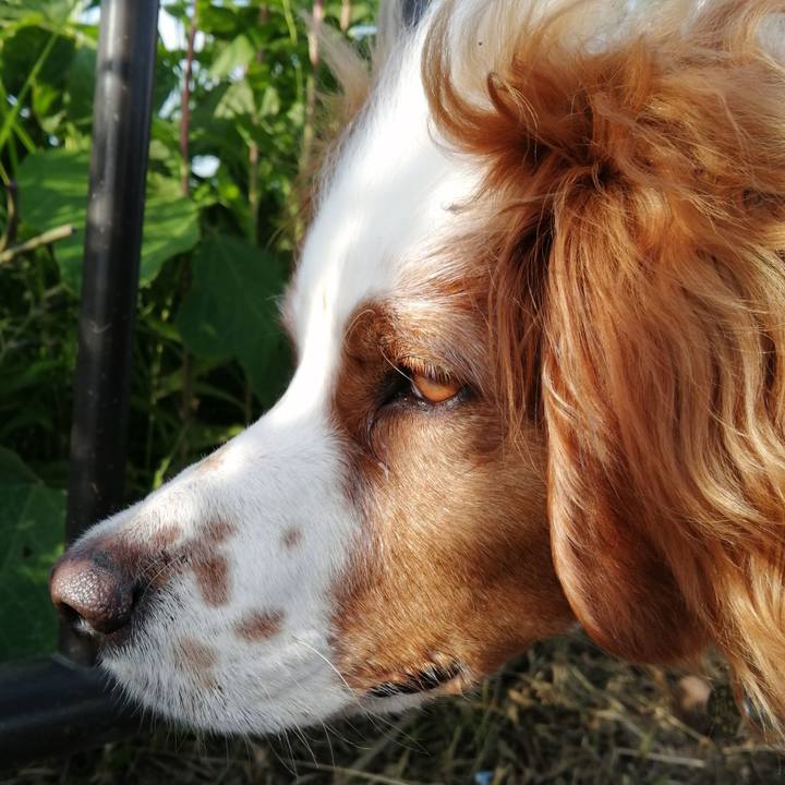 108546de 846d 46a1 be17 f7656affd630 1590225178487