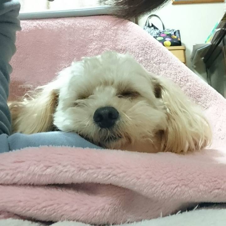 1085630f 9573 4e38 8981 d1e55af3138f 1509242070455