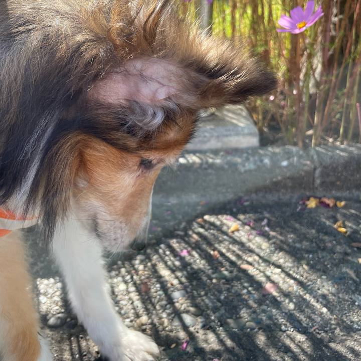 1085b706 3543 45df 881d 8af7ec886424 1660638187291