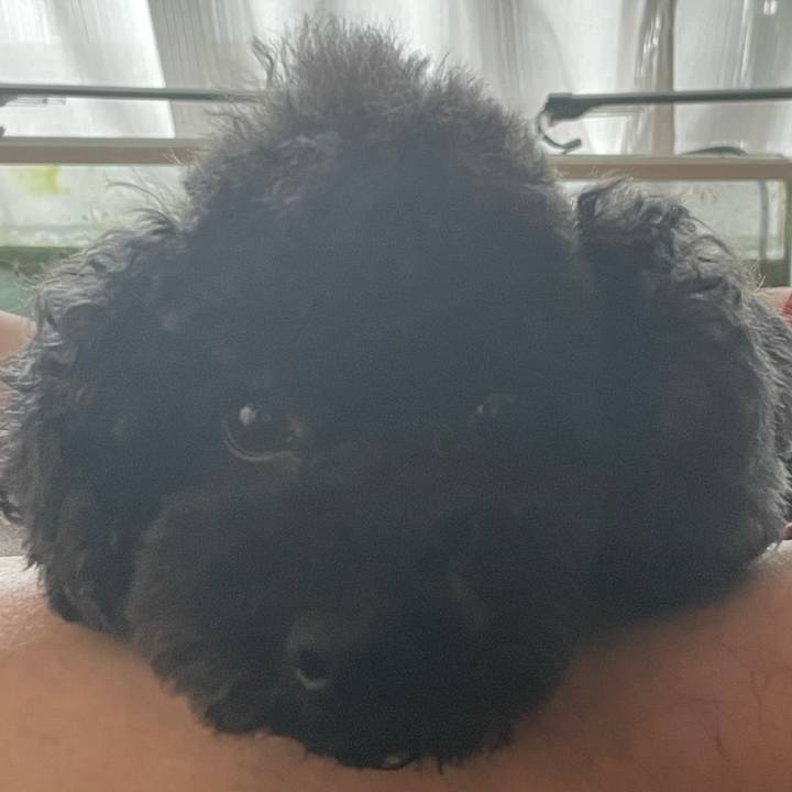 1085c6cc fc62 4069 ad5c e3916e75b568 1689569686648