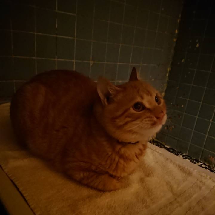 108623fd a8a0 47e0 9243 6aa722e1c568 1639130418865