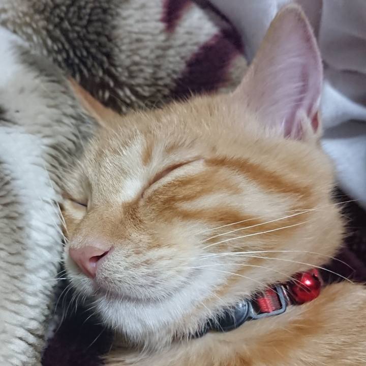 10862bdc 0b5c 4ab3 9bf6 99784587329c 1633696587411