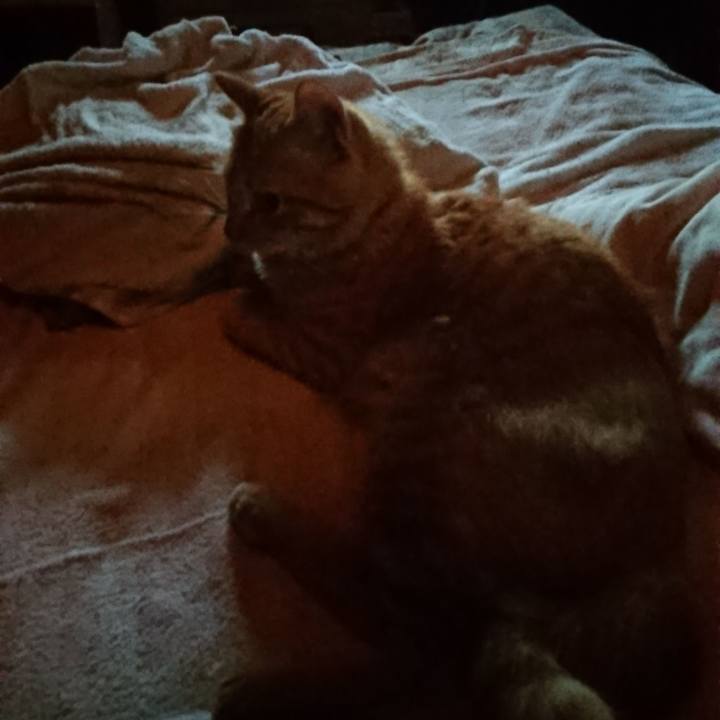 10863019 8655 438e be80 4489b1de9640 1660337742744