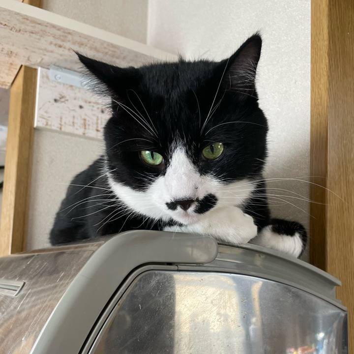 108648dc ddaf 4cc6 b94c e37a510da8a1 1659503444755